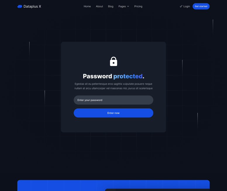 Password Protected - Dataplus X Webflow Template