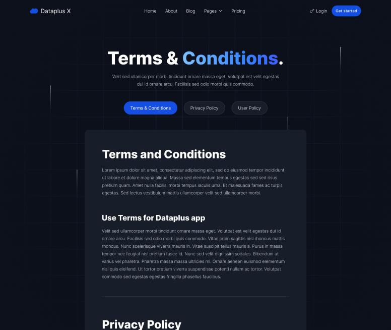 Terms & Conditions - Dataplus X Webflow Template
